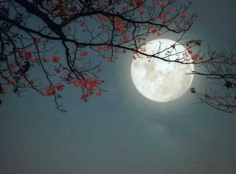 The Art of Letting Go: A Full Moon Ceremony for Releasing What No Longer Serves You